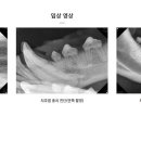 워너비치과 이미지
