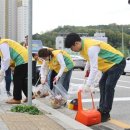 (잡포스트) 쓰레기 무단투기·담배꽁초 화재 예방... 다산2동서 환경 캠페인 이미지