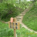 모산봉등산로 이미지