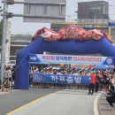 6월15일 영덕해변전국마라톤 참가 이미지