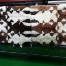 스타세탁·수선 이미지