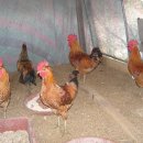 현인농장 이미지