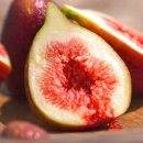 홍양농장 이미지