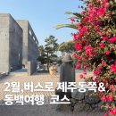 남원읍 사무소 북쪽 버스정류장 | [공지] 제주 1인 숙소 '그리고 세화 게스트하우스' 쥔장이 알려주는 뚜벅이도 가능한 동쪽 동백꽃 여행...