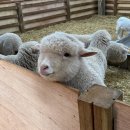 달봉이목장 이미지