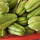 순애농장 이미지