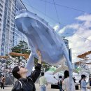 광안리어방축제 | 2025 광안리어방축제 후기