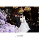 로얄파크 이미지