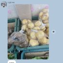 다이소송정역점 이미지