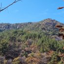 팔용산 체육공원 이미지