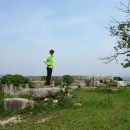 태경