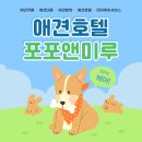 포포 데이케어 이미지