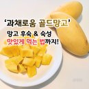 폴폴스토어 | 망고 후숙 숙성 먹는법 과채로움 골드망고 솔직 후기