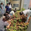 마을정원사 프로그램 이미지