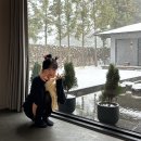 자단연원 | [내돈내산] 제주 서귀포 감성숙소 ‘자단연원’ : 실내온수풀, 자쿠지, 바베큐