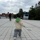 용인동물약국 | 30개월 아기랑 용인 한국민속촌 다녀온 후기