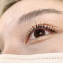 씨씨즈속눈썹 이미지