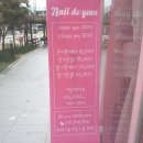 네일드수지