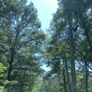 숲이랑농원 이미지