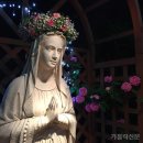[특별기고] 「충실한 백성의 어머니」 공지에 따른 레지오 마리애 선서문 수정의 의미 이미지