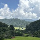 아바타주유소 | 투어 - 도이인타논 국립공원관광 + 2시간 트레킹 (아바타 영화 모티브, 치앙마이 액티비티, 소요시간...