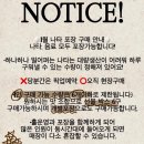 원스페이보릿나타