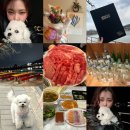[일상기록] 꿀현이의주간일기