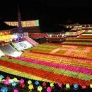 삼광사 티스토리