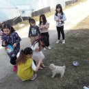 김순남 농장 이미지