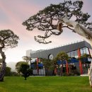 베스트 애견 이미지