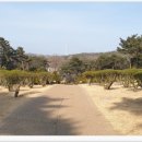 쌍계사수목장림 네이버블로그