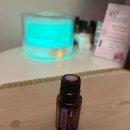 메종포레산후조리원(주) | 제주 메종포레 산후조리원 9박 10일 후기