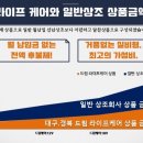 고령대가야장례식장