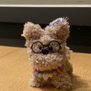 안경박사(가좌점) | 개학