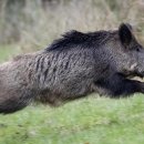 서대구주유소 이미지