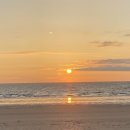 솔내음야영장 이미지