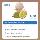 언양해피마트 | 임신 34주차 -35주차 쑥쑥일기(고양이사진 많음)