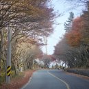 청산빌리지펜션 이미지