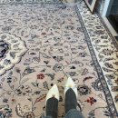 벨리아(BELLIA) 이미지