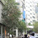 인사동 - 동래구 사직로58번길 21-8 | 인사동