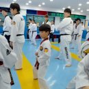 참다운태권도 이미지