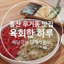 우야낙지 | 울산 무거동 맛집 울산대또간집 육회한하루 육회타코