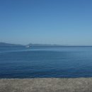 금해민박 이미지