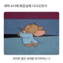 스테이구슬 | 경주 감산사 템플스테이 후기(강아지 사진 많이많이)