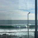 송정물총칼국수 이미지