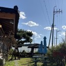 대부 | 안산 대부도 애견동반 가능 음식점 대부객주 후기