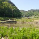 성기 농장 이미지