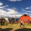 외딴농장 이미지