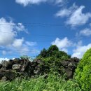 제주 이리스 이미지