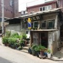 노의원 Daum카페